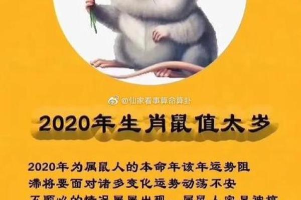 命最好的三大生肖男 命最好的几大生肖