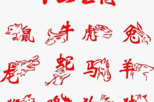 生肖中哪个最温柔体贴？详细解析其性格特点