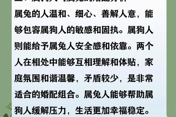 2006属狗女最佳婚配属相 2006属狗最佳婚配属相