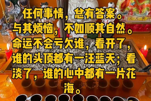 ‌万无一失打一生肖 → 龟‌（龟卜吉凶，万全无误）