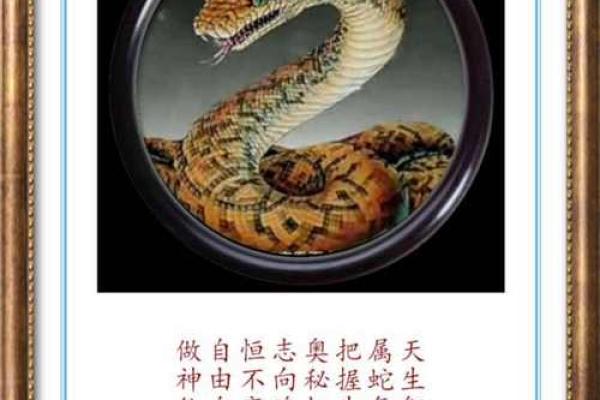 七月初七有玄机具体指的是哪一个生肖呢求解答