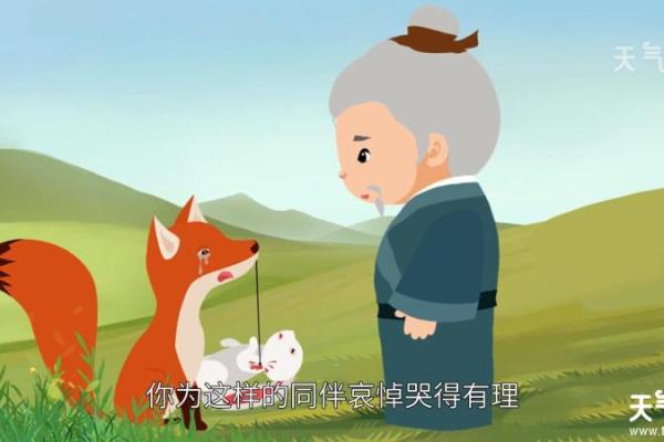 兔死狐悲打一生肖
