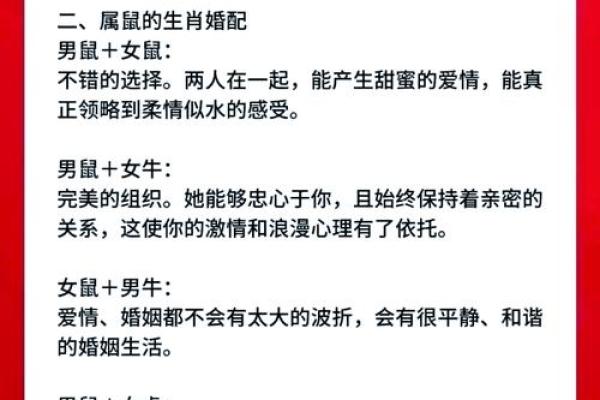 属鼠女最佳婚配(属鼠女最佳婚配属相最好是什么)