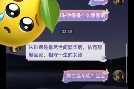 什么是白月光与朱砂痣 什么是白月光与朱砂痣意难平