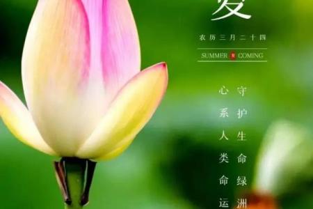 2021年立夏节气准确时间：几月几号几分开始？