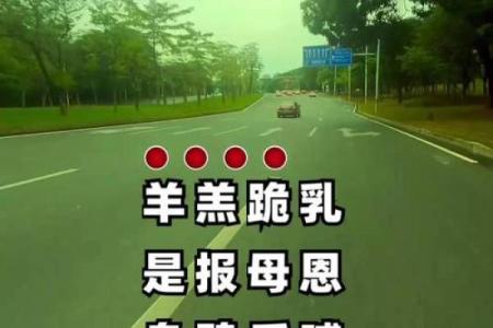 ‌三从四德打一生肖 → 羊‌（羔羊跪乳，孝德俱全）