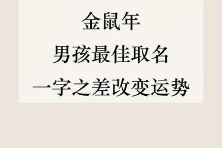 2008年属鼠几月出生最好 2008年属鼠几月出生最好男孩