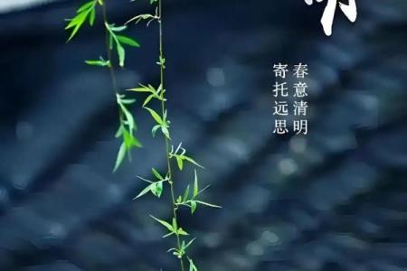 2025不能上坟的属相 2025不能上坟的属相化解方法