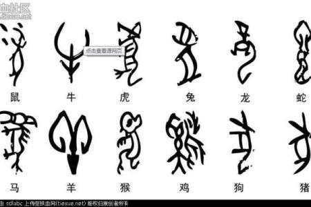 伏击之王打一生肖答案揭晓，十二生肖中哪个动物最擅长埋伏偷袭？