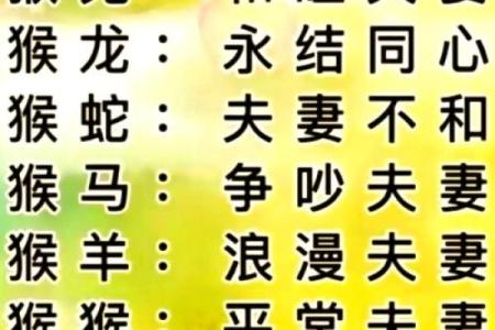 83年属猪的属相婚配表 83年属猪的婚姻最佳配偶