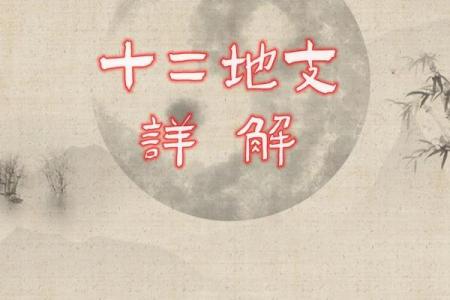 红袖点灯苦读书的是什么生肖
