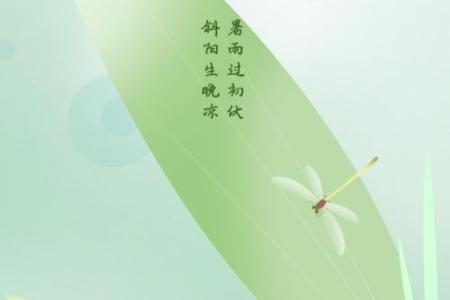 2021年入伏具体从哪一天开始计算？