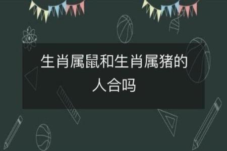 2008年出生生肖属猪还是属鼠？如何正确划分年份界限