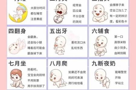 月份和月的区别 月份与月