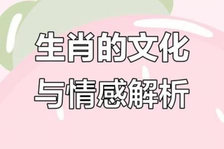 明眸皓齿开过哪个生肖？揭秘正确答案背后的深层含义