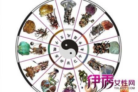 白发苍苍指的是什么生肖，正确答案及详细解析