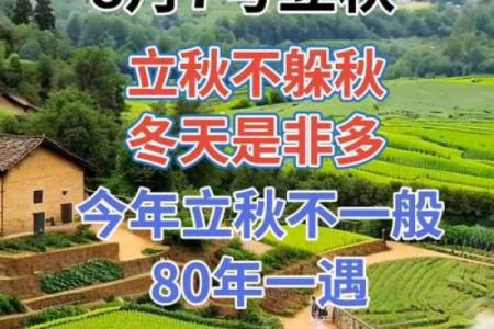 2022年什么时候立秋(二零二一年什么时候立秋)