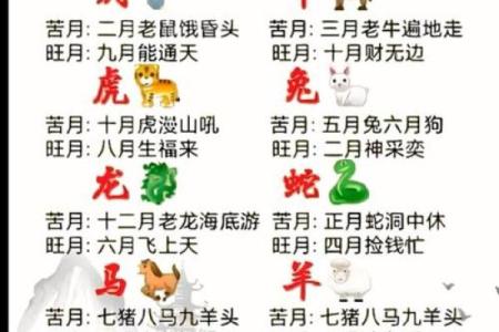 过山之猪几月出生好 过山猪几月份的好