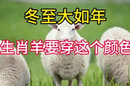 冬至打一生肖最佳答案 冬至 猜一生肖