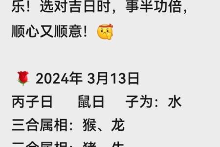 1996年丙子鼠2024年龙年运势解析，全年财运婚姻运势分析