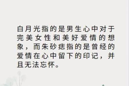 白月光和朱砂痣代表什么意思 白月光与朱砂痣学生版村里的孩儿歌词