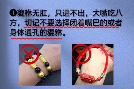 家中摆放貔貅的讲究和忌讳 家中摆放貔貅的讲究和忌讳图片