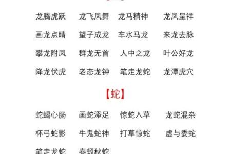 朦朦胧胧是什么生肖