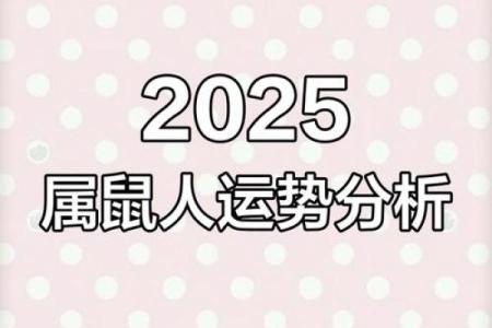 2008年属鼠的人2025年运势详解及每月运程分析