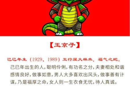 想了解青堂瓦舍所代表的生肖及其背后的文化寓意解析