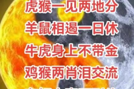 羊鼠属相合不合 羊鼠属相合不合事业