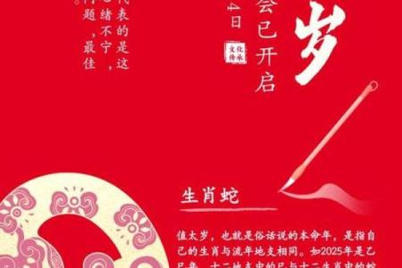 1984年出生的鼠2025年事业财运和健康运势如何破解太岁