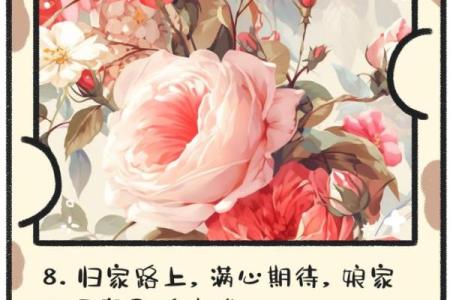 回娘家的意义 回娘家的意义上就是装满快乐装满后备箱