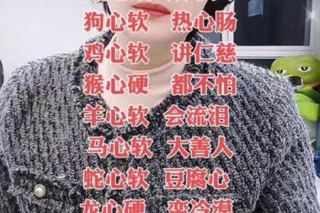 水火无情打一个生肖