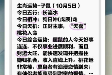 2025年属鼠人财运、事业、感情健康全年运势完整解析