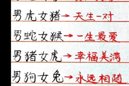 男猪和女龙属相合不合 男猪和女龙属相合不合婚