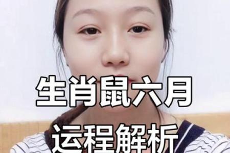 2026年属鼠人全年运势详解，财运事业健康感情全面解析