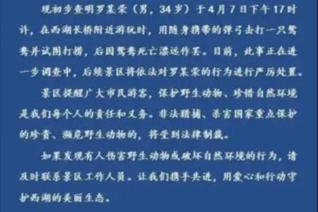 隔岸观火打一生肖 隔岸观火打一动物谜底