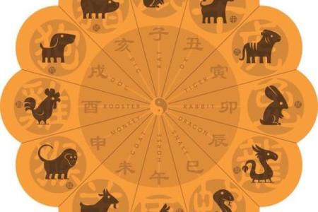 六根未净指的是什么生肖→ ‌猪‌（佛教中猪象征贪欲）