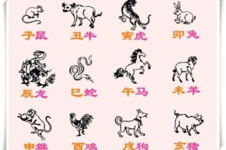 千方百计代表什么生肖