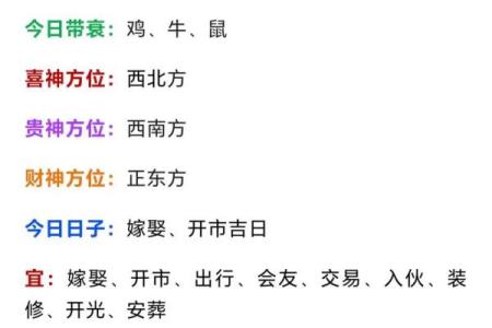 1984年属鼠人2025年运势详解，财运和事业运如何发展？