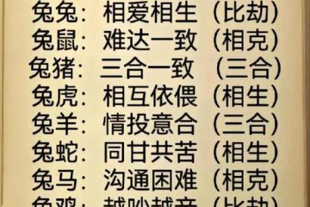 2004年属什么生肖五行属于什么命 2004年生的人五行属什么