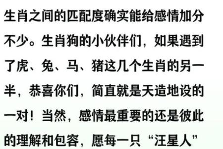1970年属狗的人最佳婚配属相是哪些，性格合吗