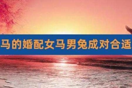 属马女和属兔男的合不合 属马女和属兔男的合不合财