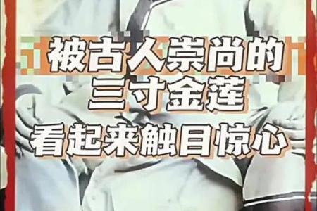 ‌三寸金莲打一生肖 → 羊‌（羊蹄点金，莲步生香）