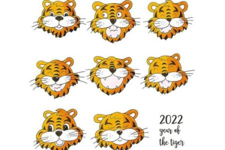 2002年马女婚配属相最好 2002年男马和2004年女猴合婚吗