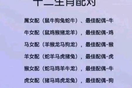风华绝代打一生肖的谜底是什么？着个成语代表哪个生肖动物？