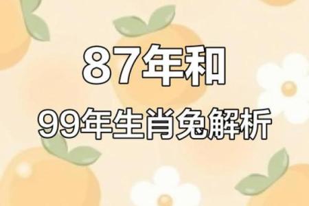 1987年属什么的(1987年属什么生肖今年多大)