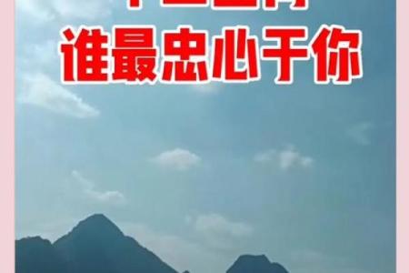 树大招风着个成语在十二生肖中具体指的是哪一个动物？