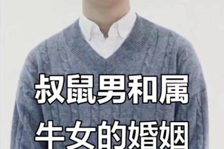属鼠和属牛的合不合 属鼠和属牛的合不合婚配
