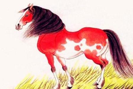 天兵天将打一准确生肖